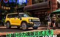 长城H9力魂版正式上市 限时优惠换新价21.49万元起