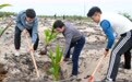 “植”此青绿 守护春天(13)