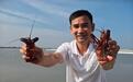 （乡村行·看振兴）水稻水产水生菜 吉林镇赉拓宽碱地农业增收路