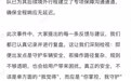 极氪回应“境外锁车事件”