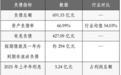 惠科股份2313倍申购：低估值修复还是高负债陷阱？