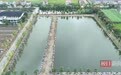 湖北江陵这场钓鱼比赛不简单：钓友将比赛钓得的鲜鱼捐出来，厨师现场制作荆州鱼糕送给老人品尝