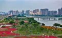 福建漳州：岸线焕新 城市更新(3)