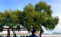 早春晴朗“谭勉”｜演员赵振宇国庆游大庆