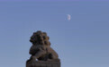星空相册|本年度最小上弦月现身天宇(4)#