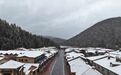 比去年早16天！雪乡国庆当天喜提头场雪，半林秋色半林白