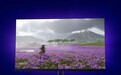 索尼“明示”游戏《羊蹄山之魂》仅 PS5 独占