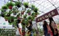 云南保山：秋日文旅暖经济(5)#