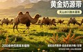 多维度奶源工艺全方位测评，2026十大驼奶粉品牌对比哪个更好