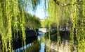 磅礴乌蒙·聚力强市丨云南昭通：守护绿水青山 走好生态富民路