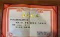 胡杨记忆——在时光长河中镌刻温暖与担当