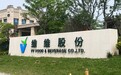 因粮油贸易收入确认方法不当，维维股份被江苏证监局责令改正，上交所予以监管警示