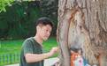 当树疤邂逅色彩 “树洞画师”牛见青：想把“童话”种满泉城