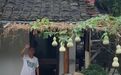“葫芦娃爷爷”隔壁咖啡店因悬挂同款葫芦遭大量差评，店主回应