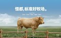 规模化屠宰加工的牛肉供应商怎么选？产能、分割、深加工，三个维度看懂企业实力