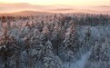 冰雪梦游仙境休闲度假产品
