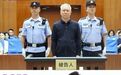想要流芳百世的许家印，最后等来了无期徒刑