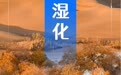 海报｜“数”览五年新疆科考有哪些新发现