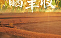 “晒”丰收(4)