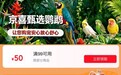 货不对板、售后无门？全行业首个鹦鹉活体交易标准为消费保驾护航