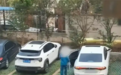 离谱！小区惊现孪生车牌，业主蹲守多日挖出真相：对方只为免费停车