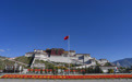 共庆华诞(15)