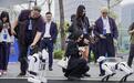 【2026奇瑞全球创新大会开幕，向以AI驱动的全球智能科技公司进化】