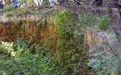 四川宝兴：依托大熊猫构建生态文旅产业链(10)#