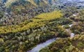 美丽中国丨斑斓北国 “醉美”龙江(11)#