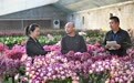 河北承德：建设大数据中心 提升监督执纪有效性(6)#