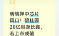 明明押中芯片风口！碧桂园20亿甩卖长鑫 若上市或值312亿，输在哪