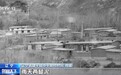 党旗在基层一线高高飘扬丨从空壳村到年入2200万 村书记带头打造“铁饭碗”