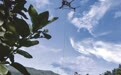 高山柚坐无人机“飞”出大山