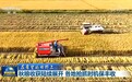 新闻联播｜【在希望的田野上】秋粮收获陆续展开 各地抢抓时机保丰收
