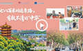 七八百米的这条路，有数不清的“中华”