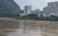 广西河池强降雨致宜州区部分河段水位上涨，将出现洪峰