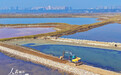 山西运城：堤埝加固 守护盐湖