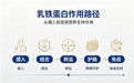 2026年乳铁蛋白的品牌怎么选？十款热门产品配方解析与选购思路