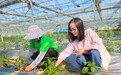 聆听乡土回响！《乡村十章》驻村作家走进江西于都潭头村