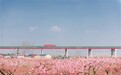 桃花春宴里，赴一场乡野盛世