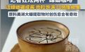 狂炫两杯“蟑螂咖啡”：活虫现碾，椰肉口感，网友：一口下去也就了亿点点修复力