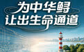 开局之年看中国·潮涌荆楚｜搬迁35公里，为中华鲟让出生命通道