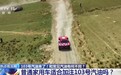 视频丨国产赛级汽油来了！103号到底有何特殊之处？