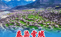 春日经济新图景｜春染雪域，“桃花沐雪”绘出好“钱”景