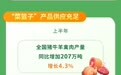 图解：上半年三农经济数据出炉 农村收入增速跑赢城镇！