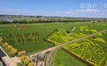 【E法同行 法润塞上】银川这波普法太圈粉！田间有风景，家门口有正义！
