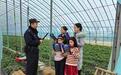 摘草莓、学反诈，襄阳民警把安全课搬进田间地头