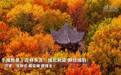#气象与风光# 【#吉林永吉城北公园层林尽染#】金秋时节，吉林省永吉