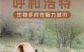 呼和浩特获评联合国"生物多样性魅力城市"—— 来认识这些山野精灵