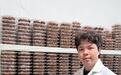粤东地标农品迎新变局“产业二代”以整合思维重塑青梅橄榄油柑格局